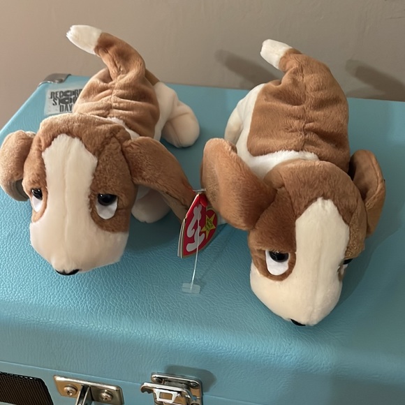 Ty Tracker * Beanie Baby * Date of Birth: June 5, 1997 * Basset Hound - Picture 13 of 13